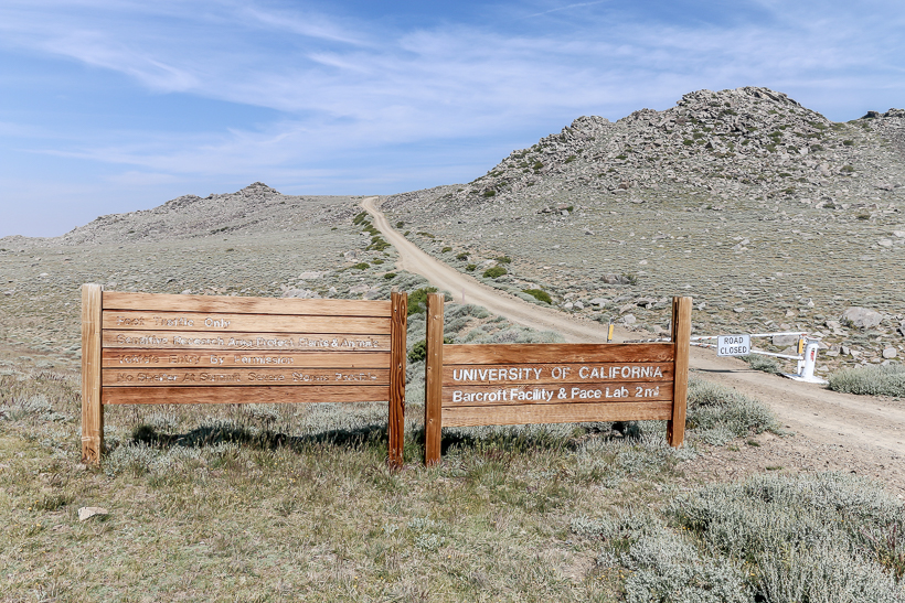 End of road at University Research entrance