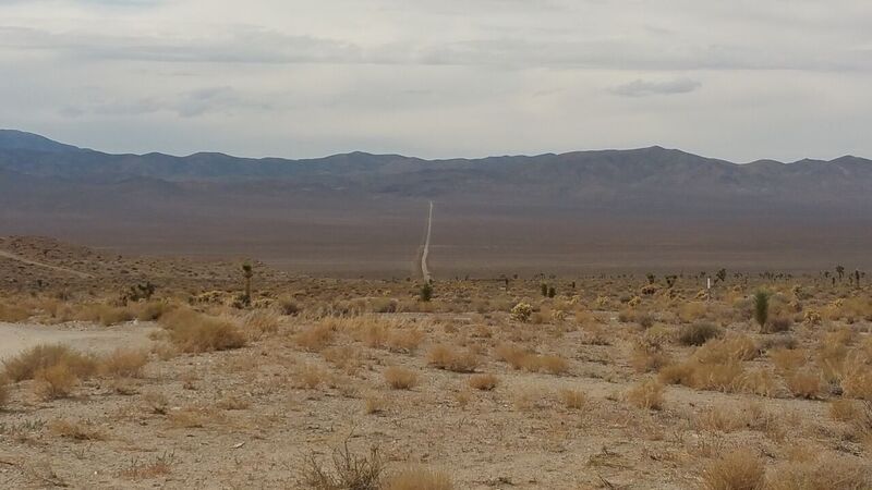 The longer road out, Gold point, NV